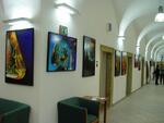 Reduta - výstavy